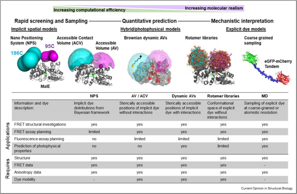 Hierarchy of fluorophore forward models used in integrative fluorescence modeling, ranging from computationally efficient implicit spatial models to more explicit dye representations with increasing molecular realism. Adapted from T.-O. Peulen, D. Maksutova, and T. Cordes, Current Opinion in Structural Biology 101, 103376 (2026), CC BY 4.0.
